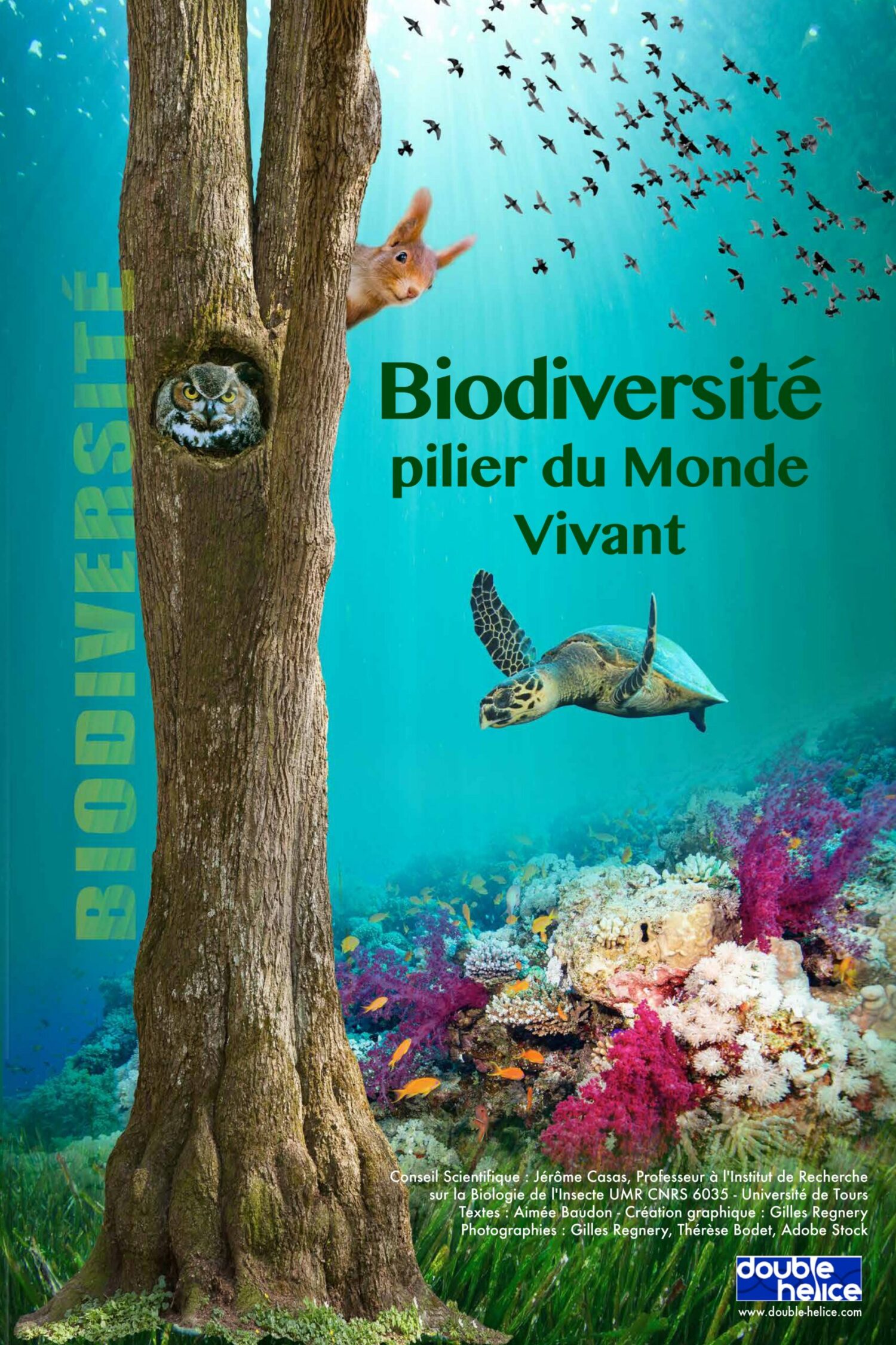 Lire la suite à propos de l’article Fête de la Nature – Du 24 au 28 mai