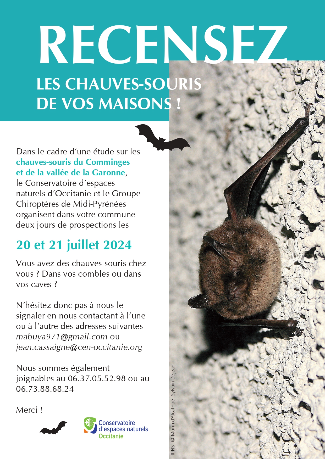 Lire la suite à propos de l’article Prospections « chauves-souris »
