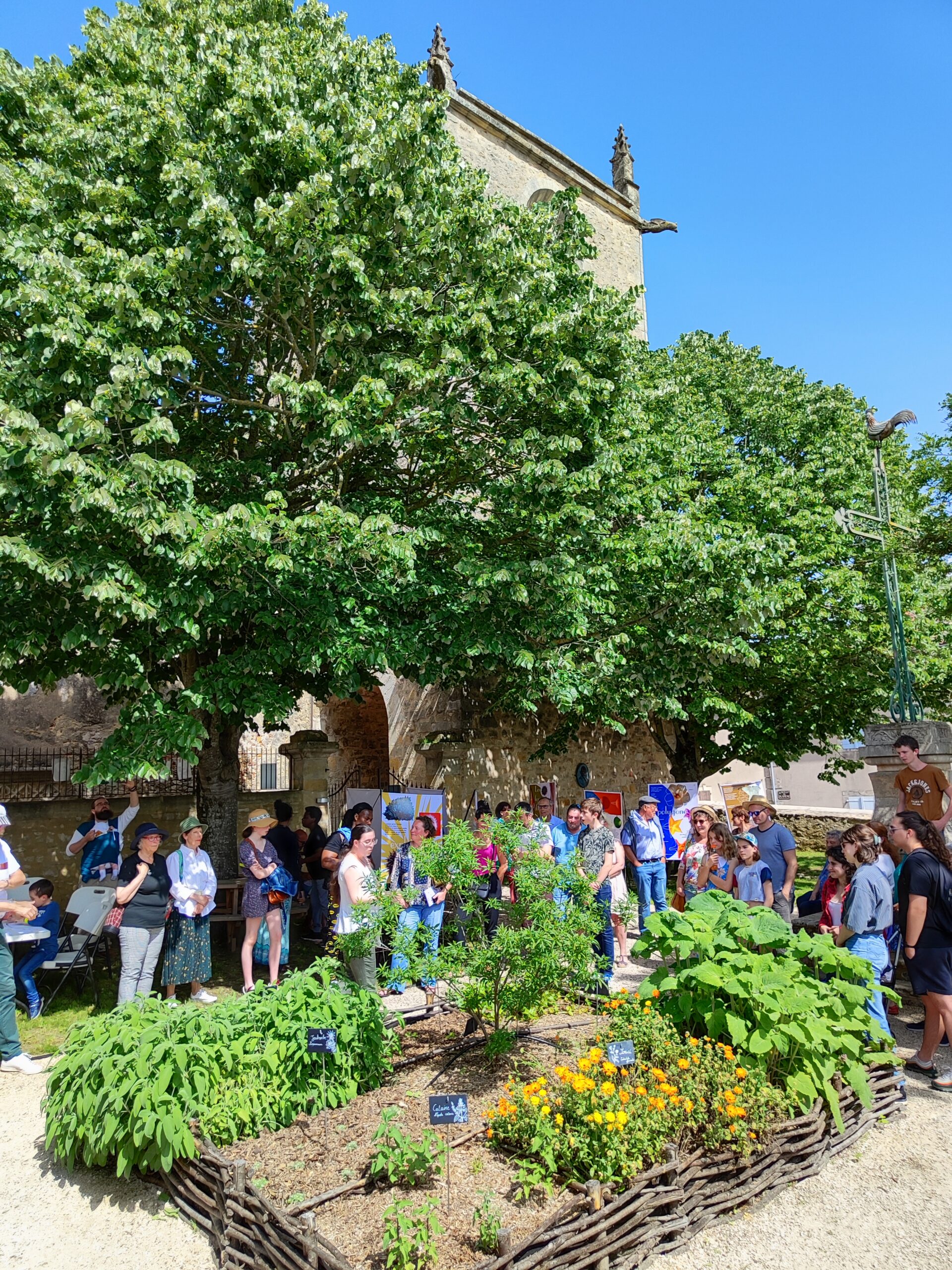 Lire la suite à propos de l’article Les 5 sens des jardins – Dimanche 10 août – 10h – Cour du Château