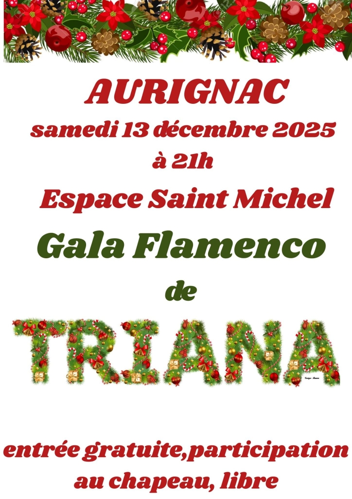 Lire la suite à propos de l’article Gala de Flamenco