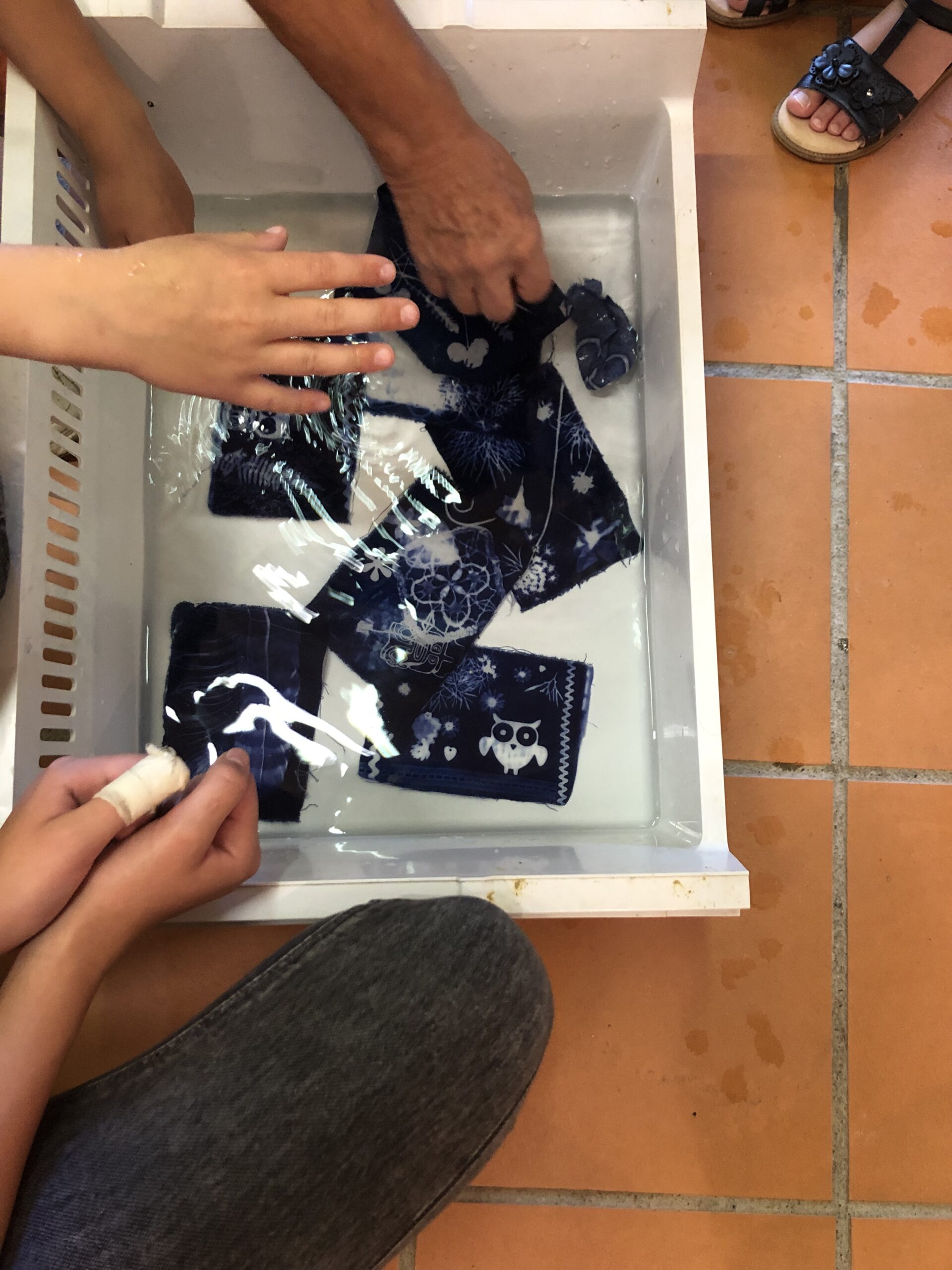 Lire la suite à propos de l’article Atelier Cyanotype – Carine ROSELLO, spécialiste du cyanotype – Mercredi 20 mai à 10h et 14h